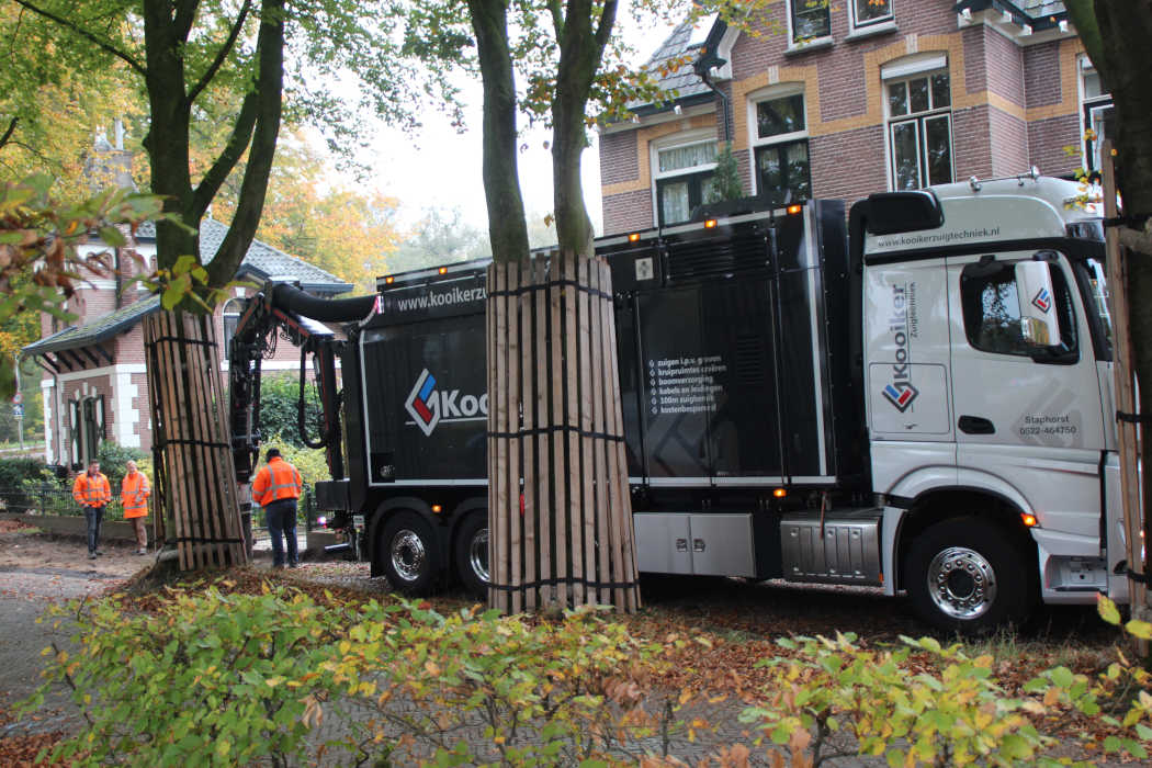 Boomwortels vrijzuigen zonder schade