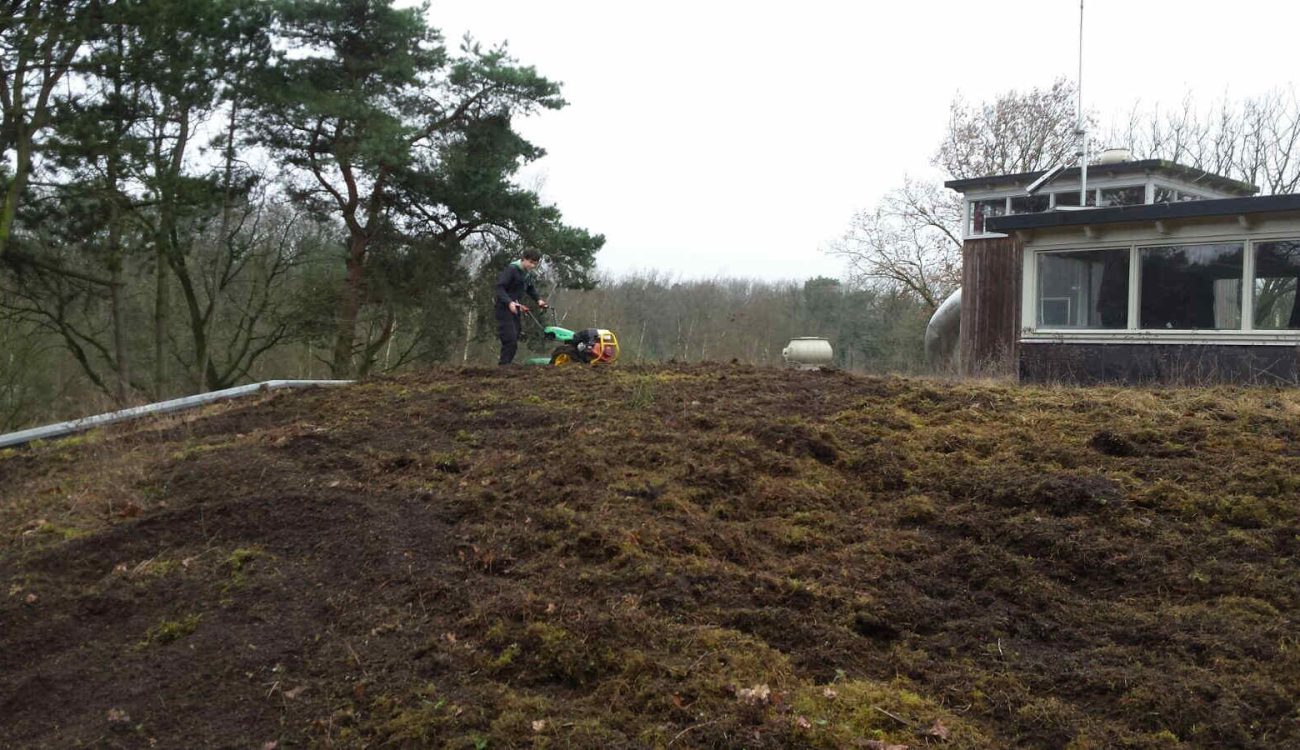 Sedum dakbedekking verwijderen Beerze Bulten