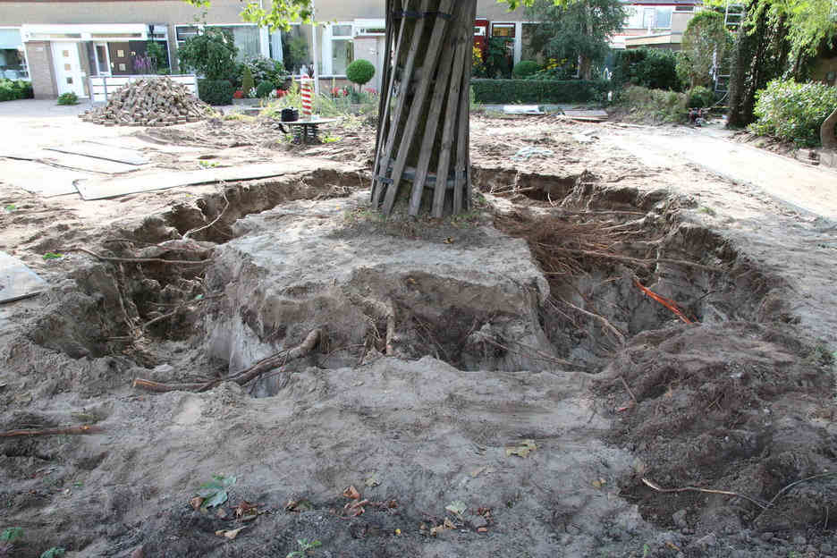 Schadevrij boomwortels vrijzuigen