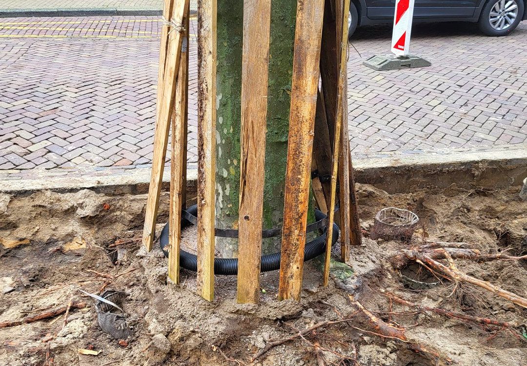 Boomwortels uitgraven zonder schade