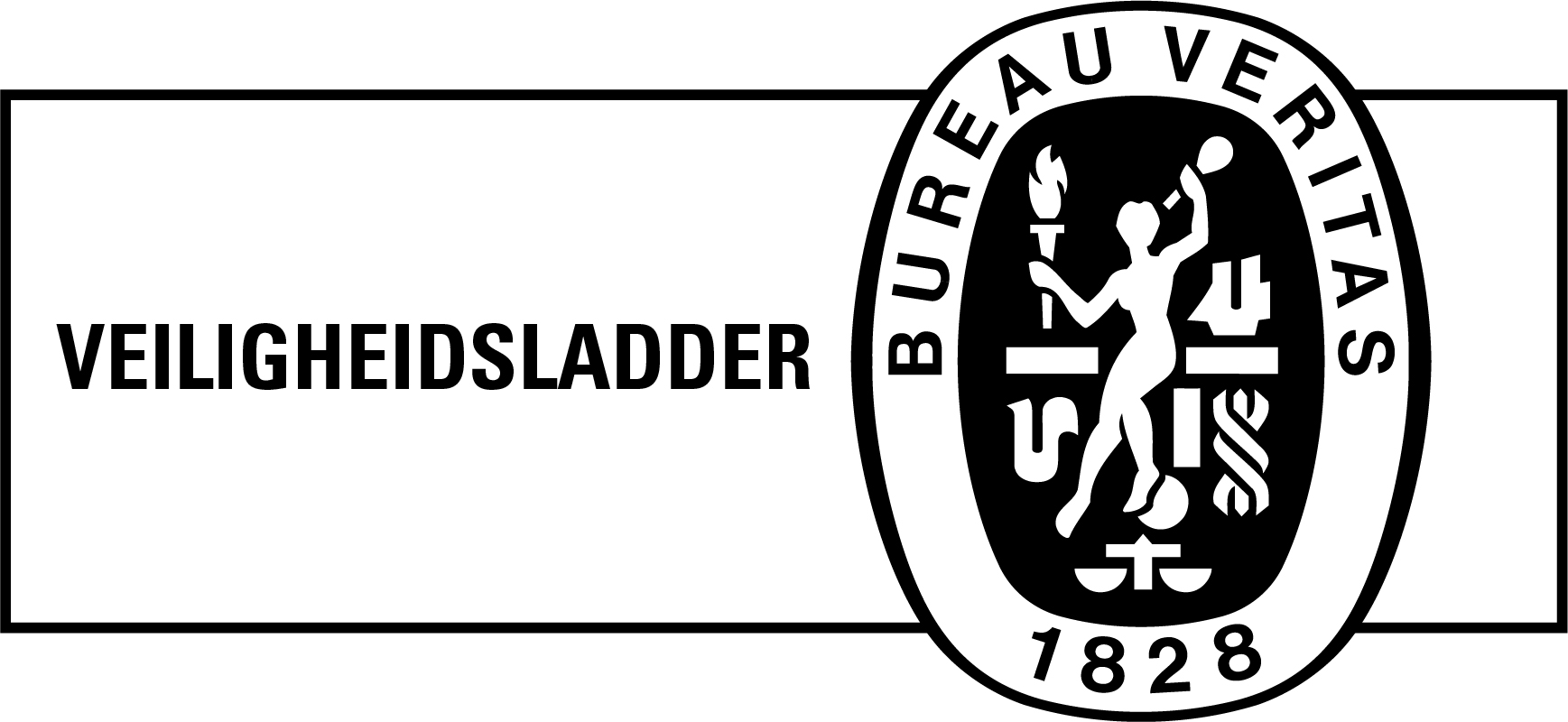 Logo Veiligheidsladder 2