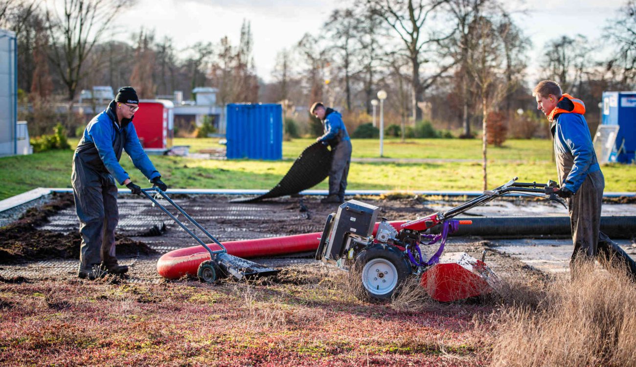 Groen sedumdak verwijderen